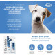 ICF Ermidra Spray, 300 ml – soluție dermatologică hidratantă pentru câini și pisici